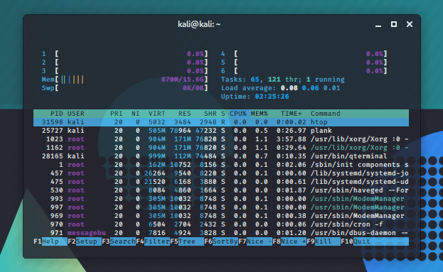 kali-customization-htop