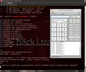 msf-elastix-root-nmap