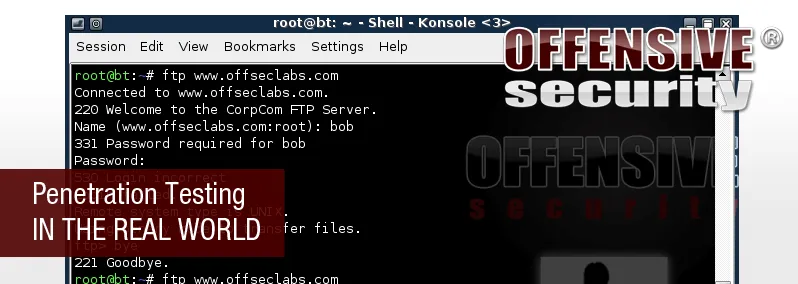 Penetration Testing in the Real World